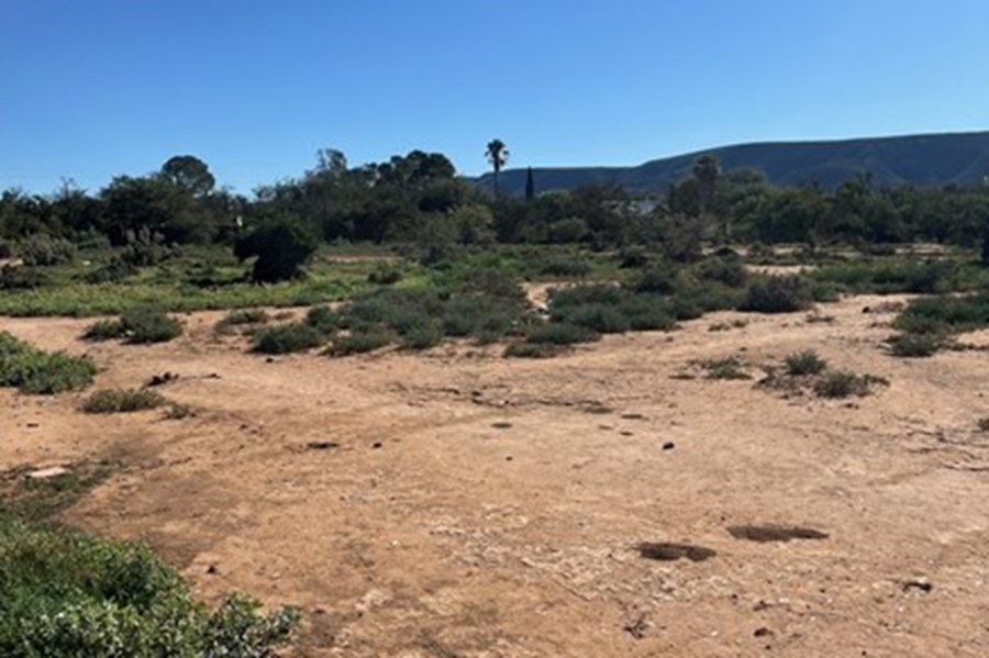0 Bedroom Property for Sale in Steytlerville Eastern Cape